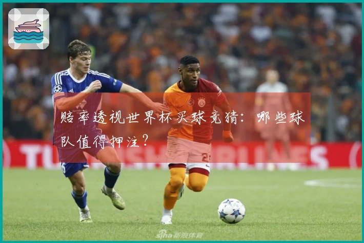 赔率透视世界杯买球竞猜：哪些球队值得押注？
