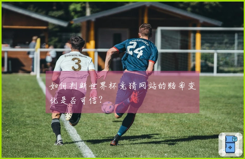 如何判断世界杯竞猜网站的赔率变化是否可信？