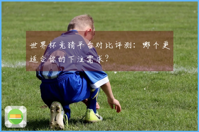 世界杯竞猜平台对比评测：哪个更适合你的下注需求？