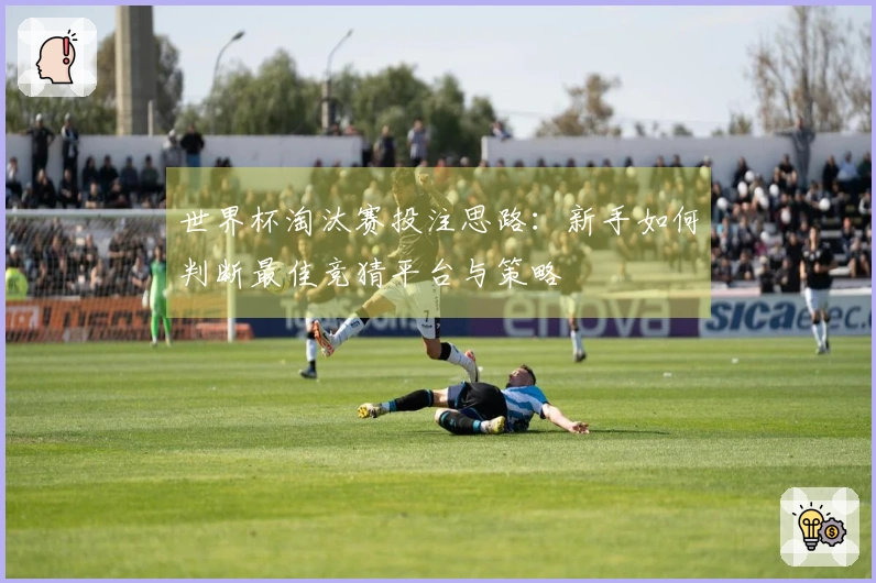世界杯淘汰赛投注思路：新手如何判断最佳竞猜平台与策略