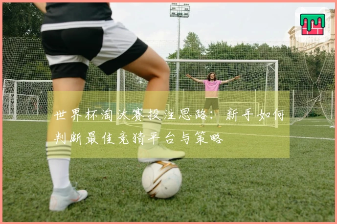世界杯淘汰赛投注思路：新手如何判断最佳竞猜平台与策略