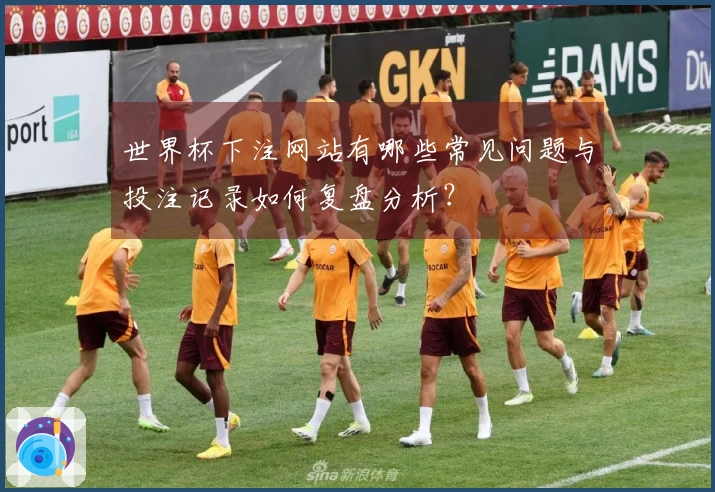 世界杯下注网站有哪些常见问题与投注记录如何复盘分析？