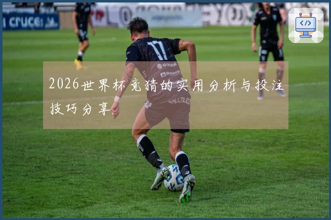2026世界杯竞猜的实用分析与投注技巧分享