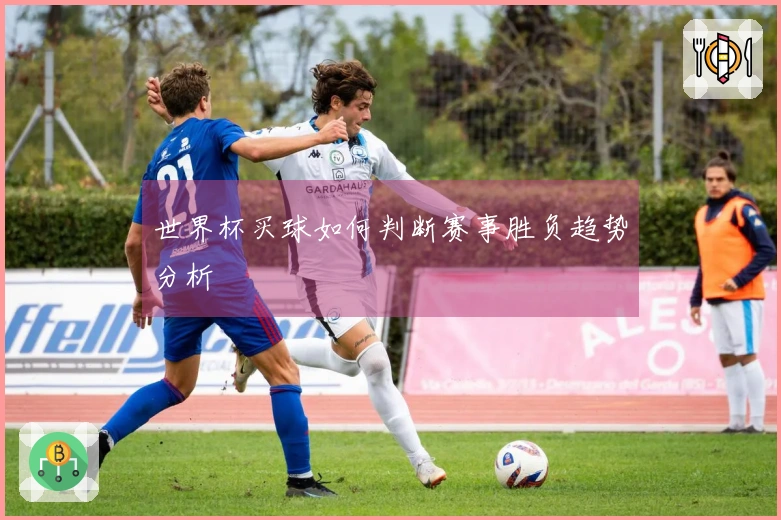 世界杯买球如何判断赛事胜负趋势分析