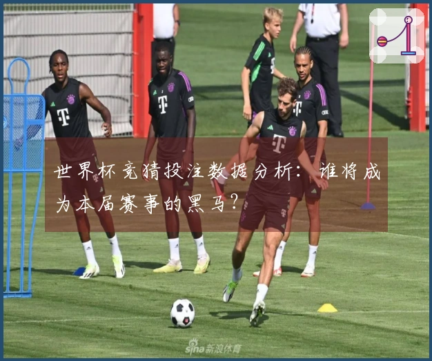 世界杯竞猜投注数据分析：谁将成为本届赛事的黑马？
